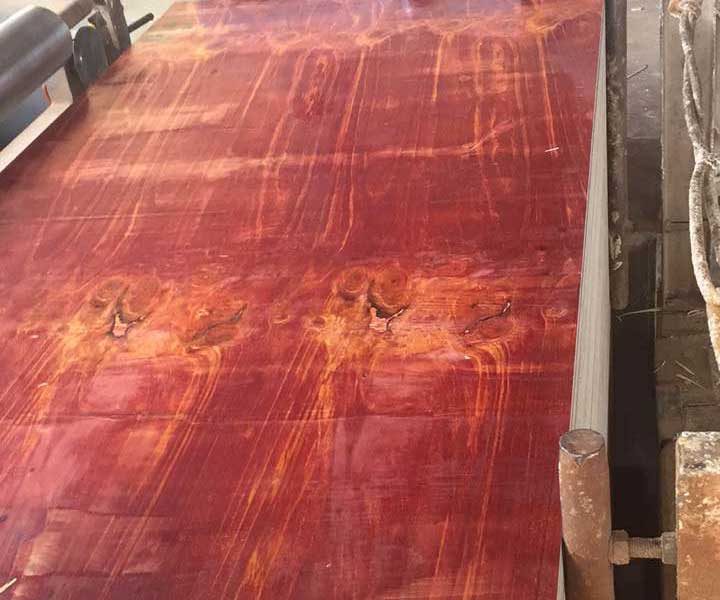 1635173037829824.jpg 0Z5035394-0.jpg