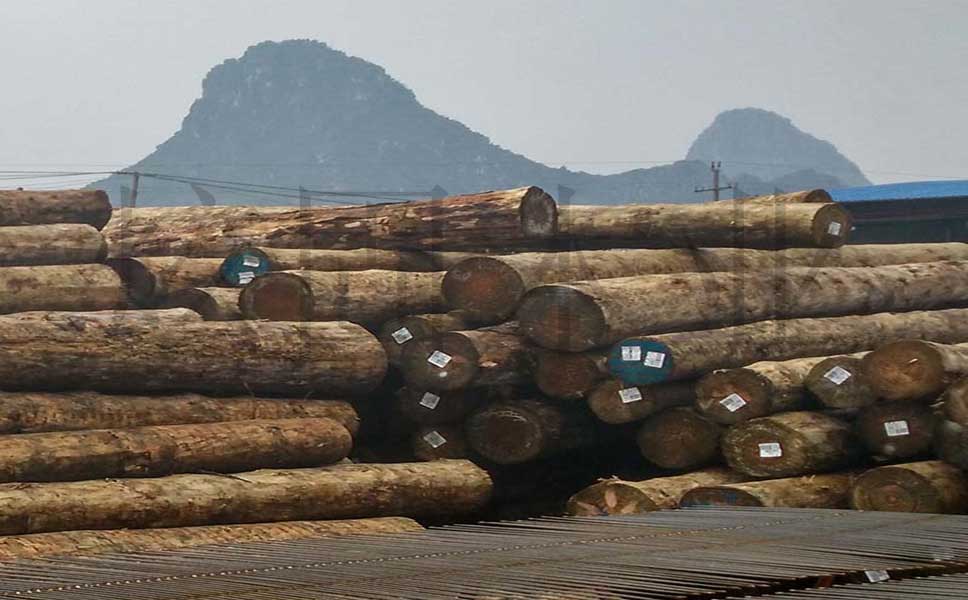 1635174141222990.jpg 1-1P626144626301.jpg